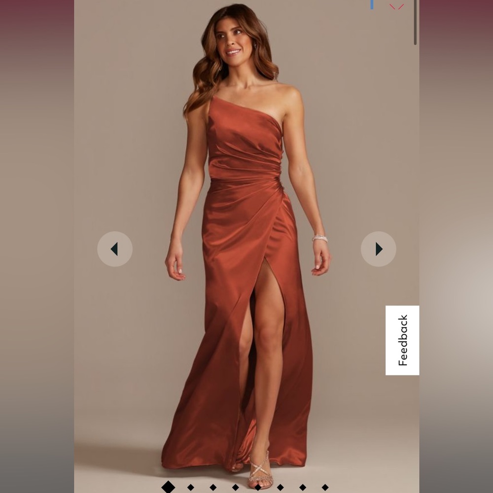 NWT David’s Bridal Cinnamon Size 10 Dress